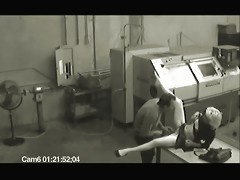 Security Spy cam sex video of a worker who diddles his woman after hours.